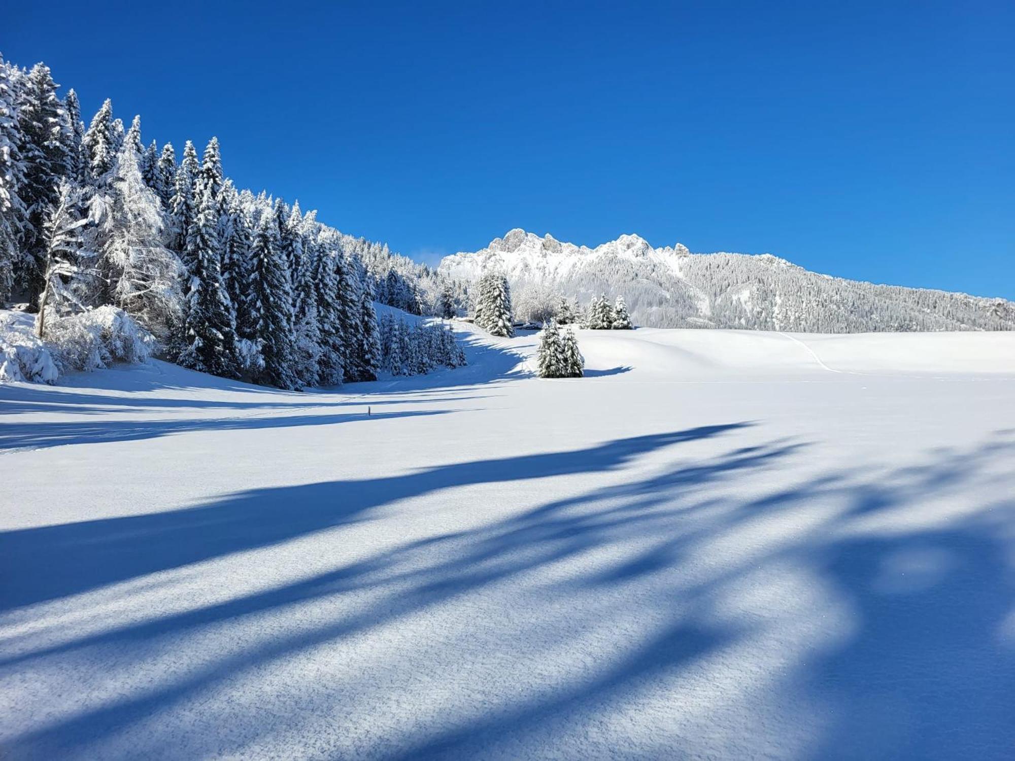 Alpapart Hornberg Hofen ภายนอก รูปภาพ