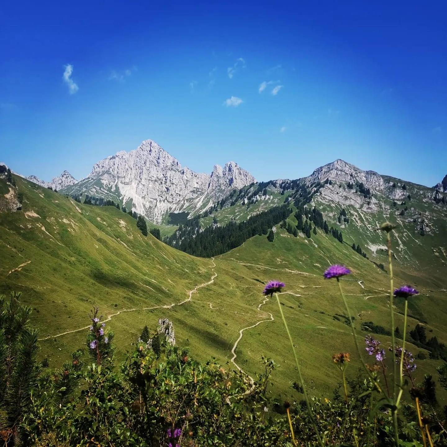 Alpapart Hornberg Hofen ภายนอก รูปภาพ