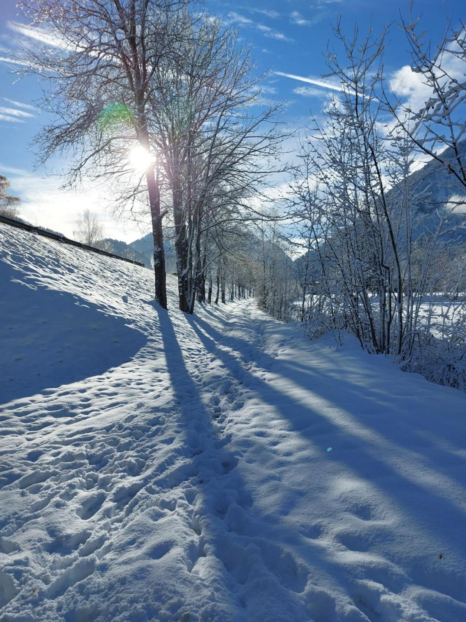 Alpapart Hornberg Hofen ภายนอก รูปภาพ