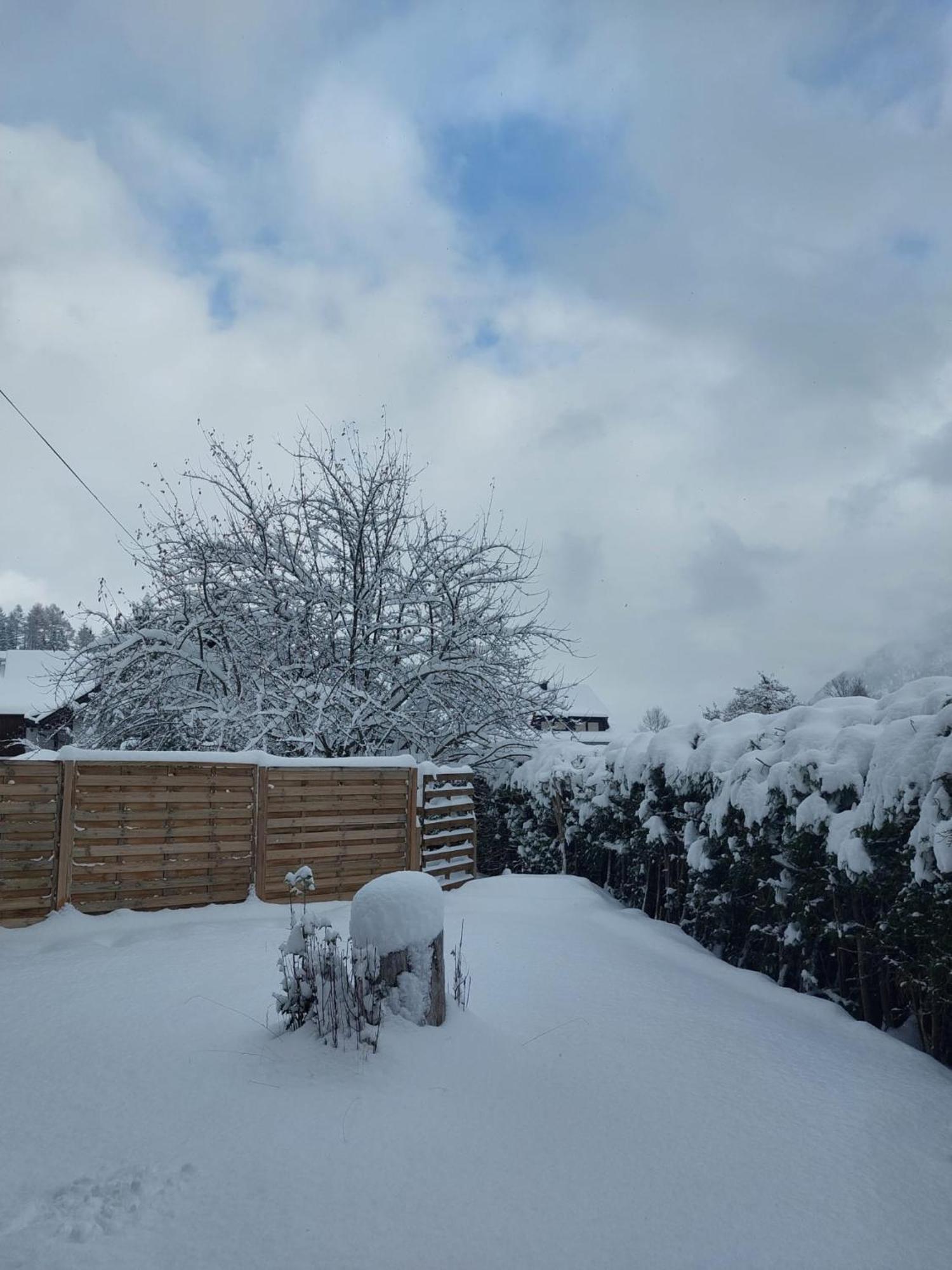Alpapart Hornberg Hofen ภายนอก รูปภาพ