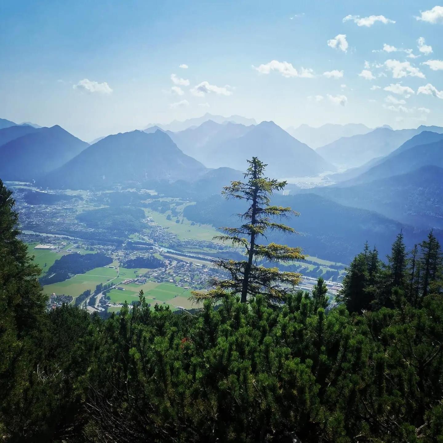 Alpapart Hornberg Hofen ภายนอก รูปภาพ