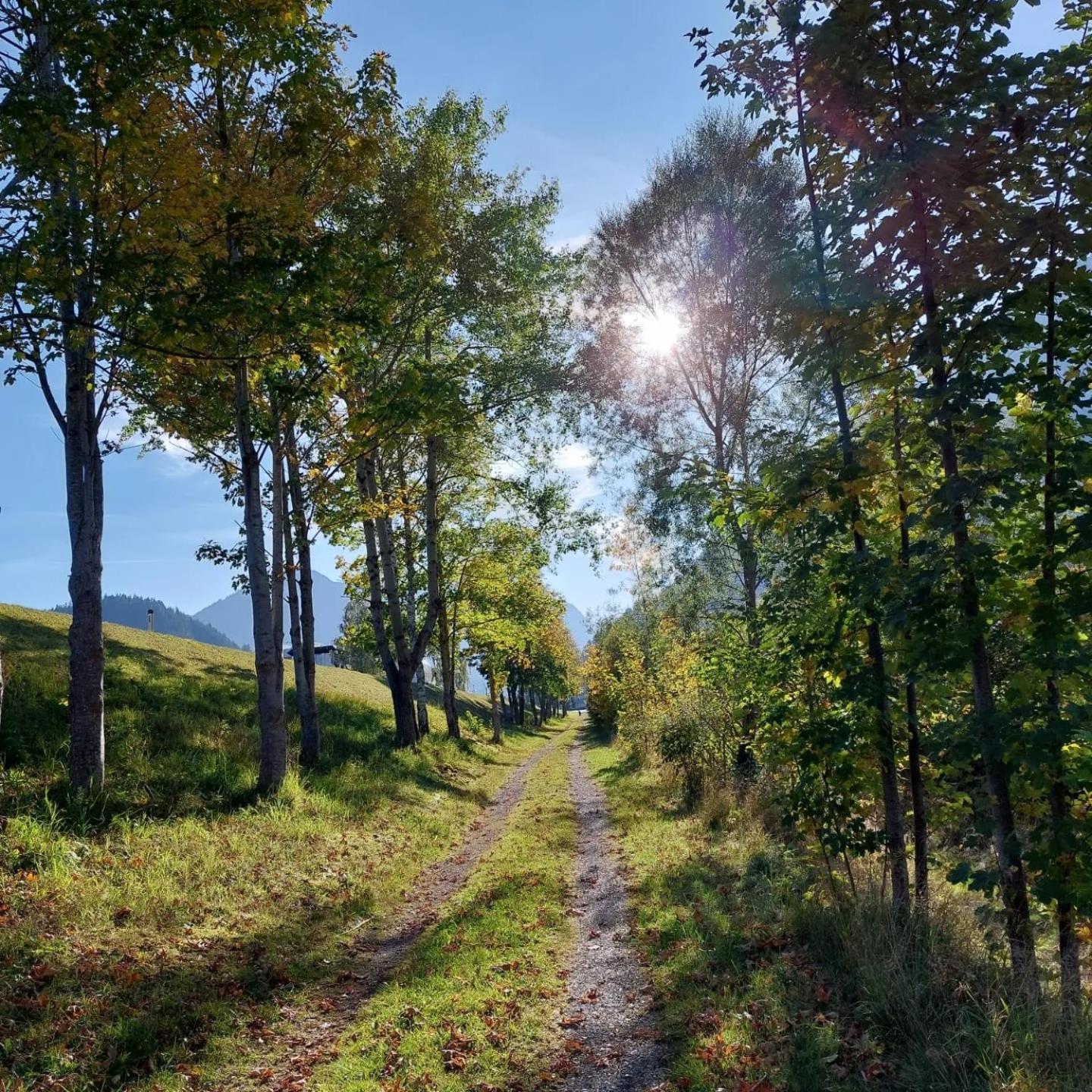 Alpapart Hornberg Hofen ภายนอก รูปภาพ