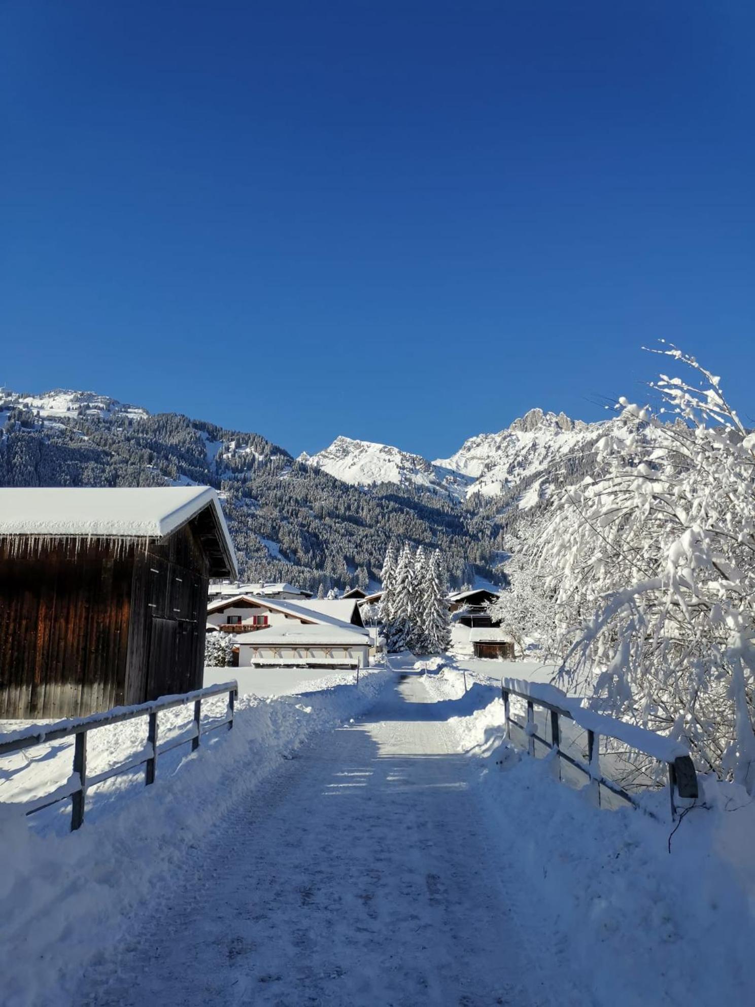 Alpapart Hornberg Hofen ภายนอก รูปภาพ