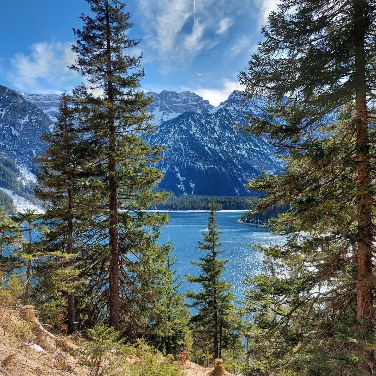 Alpapart Hornberg Hofen ภายนอก รูปภาพ