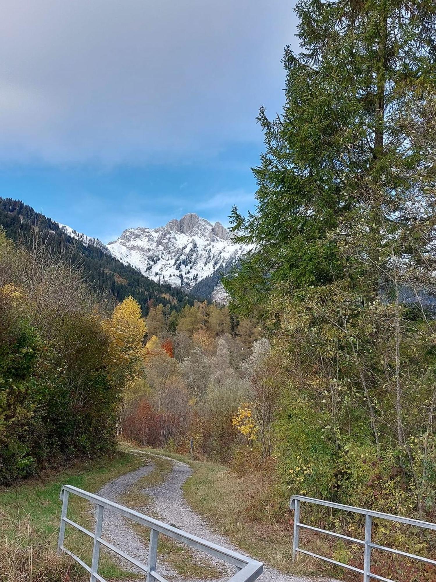 Alpapart Hornberg Hofen ภายนอก รูปภาพ