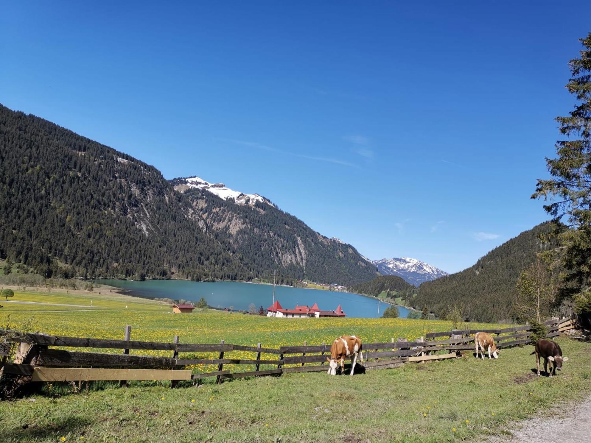 Alpapart Hornberg Hofen ภายนอก รูปภาพ