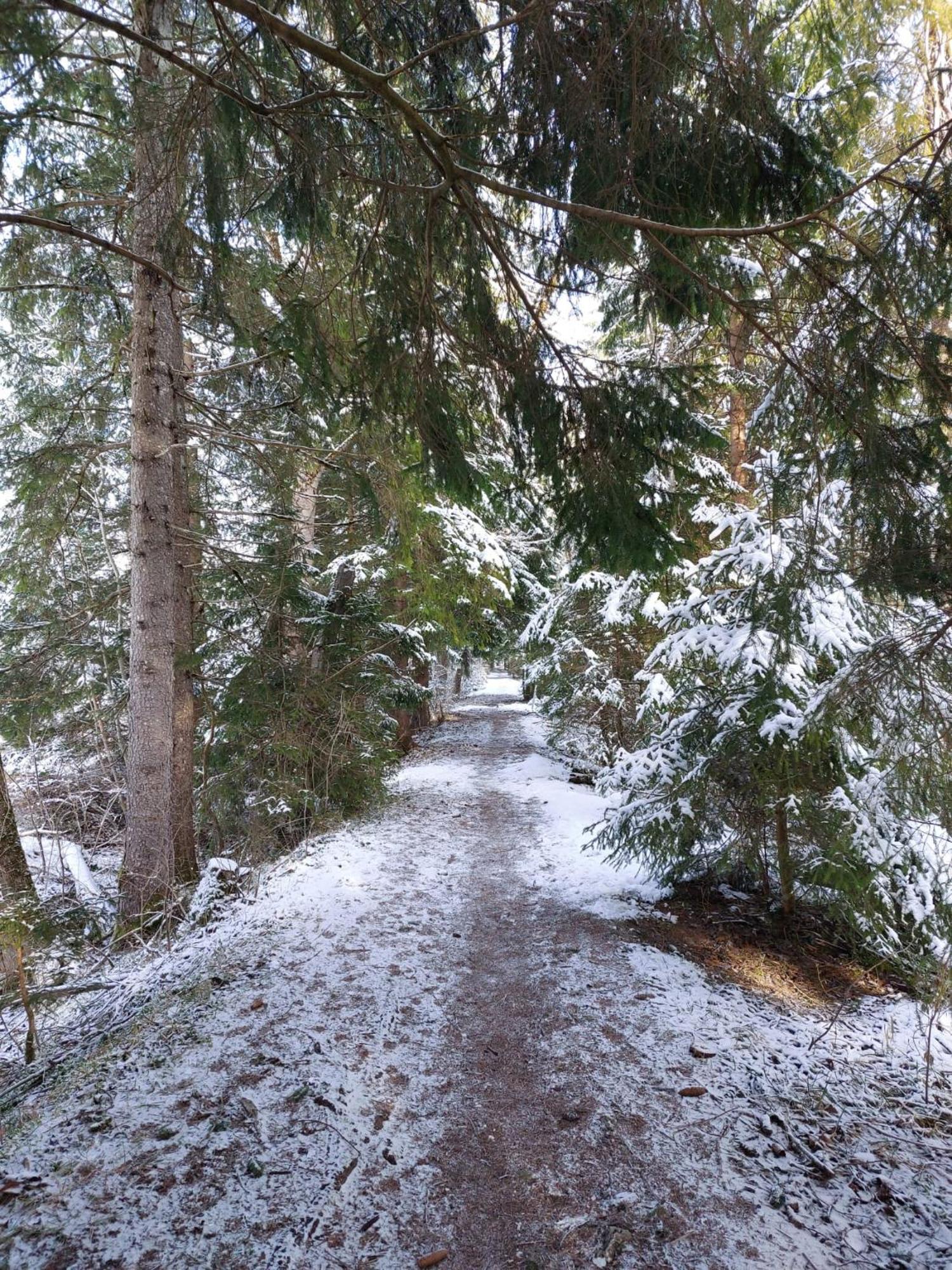 Alpapart Hornberg Hofen ภายนอก รูปภาพ